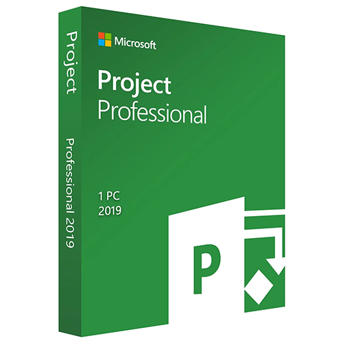 2019 Project Professional - Lifetime Activation
