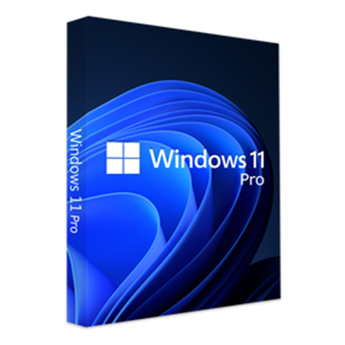 MS Windows 11 Pro